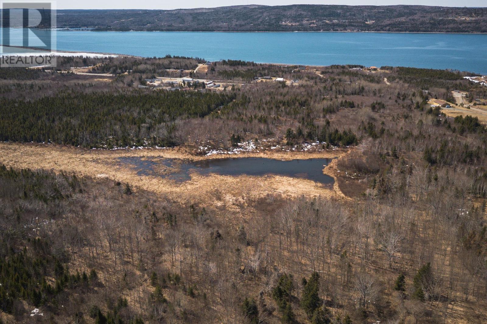 100 Acres Route 19, Troy, Nova Scotia  B9A 1H9 - Photo 11 - 202607861