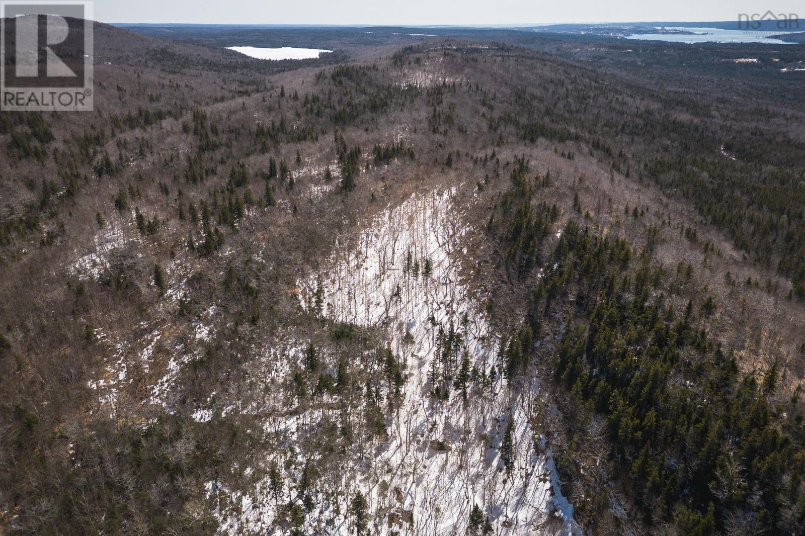 100 Acres Route 19, Troy, Nova Scotia  B9A 1H9 - Photo 15 - 202607861