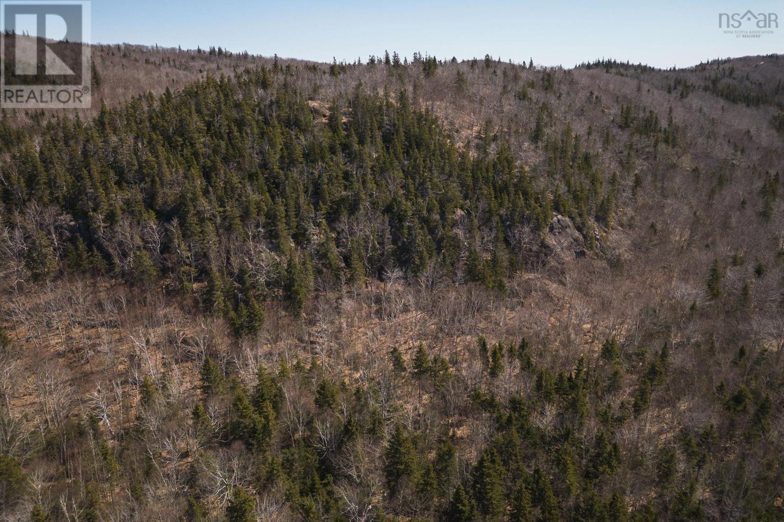 100 Acres Route 19, Troy, Nova Scotia  B9A 1H9 - Photo 7 - 202607861