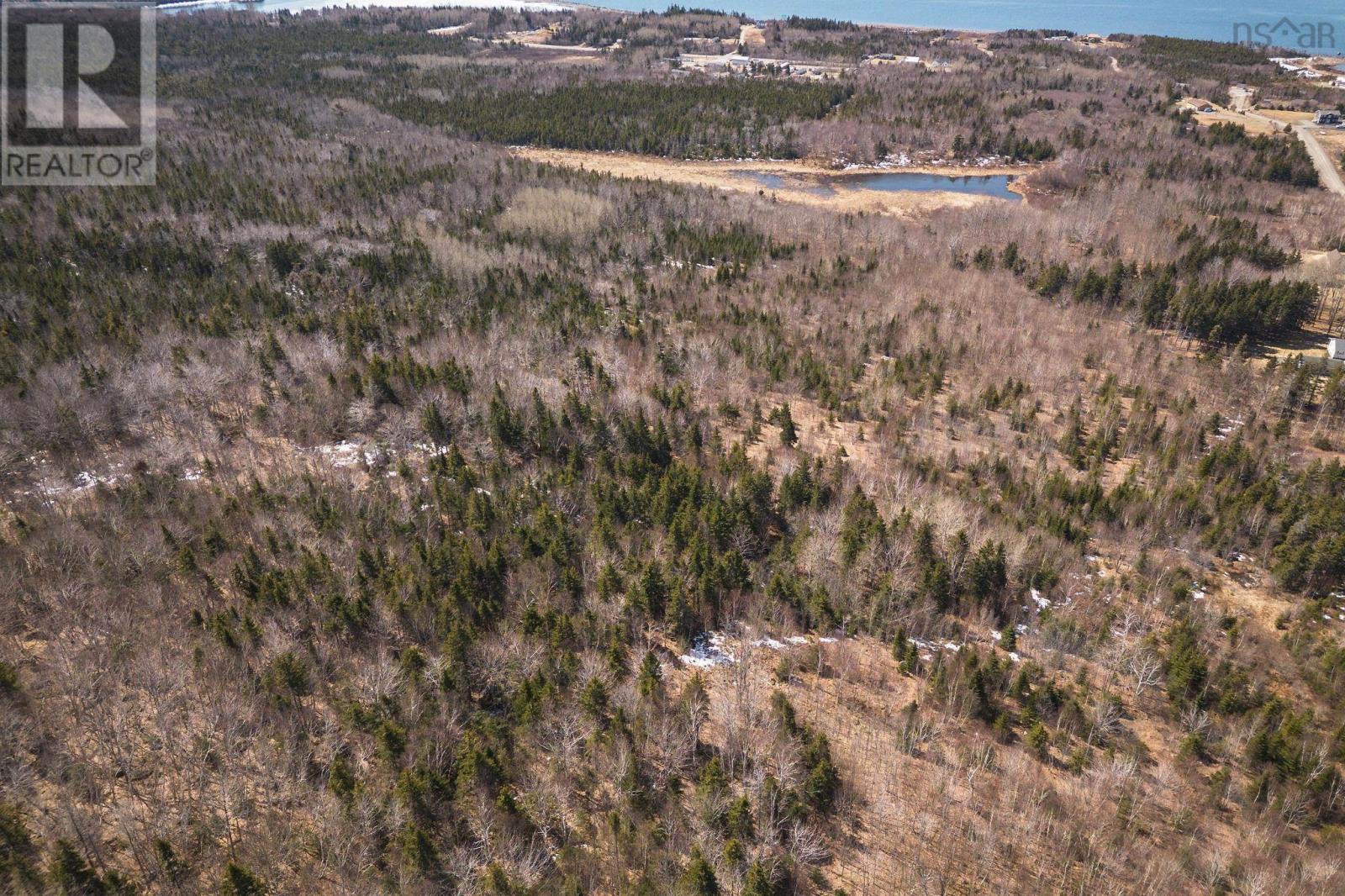 100 Acres Route 19, Troy, Nova Scotia  B9A 1H9 - Photo 18 - 202607861