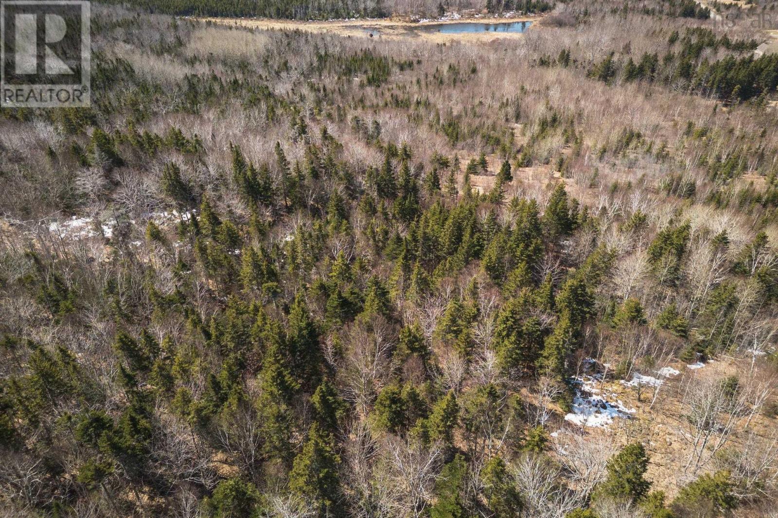 100 Acres Route 19, Troy, Nova Scotia  B9A 1H9 - Photo 14 - 202607861