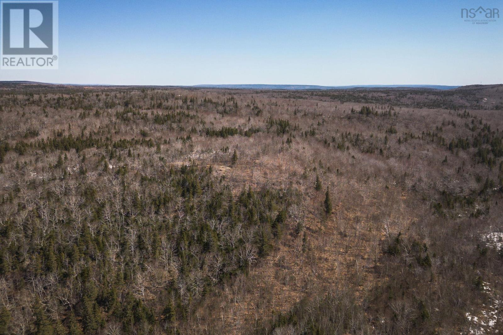 100 Acres Route 19, Troy, Nova Scotia  B9A 1H9 - Photo 16 - 202607861