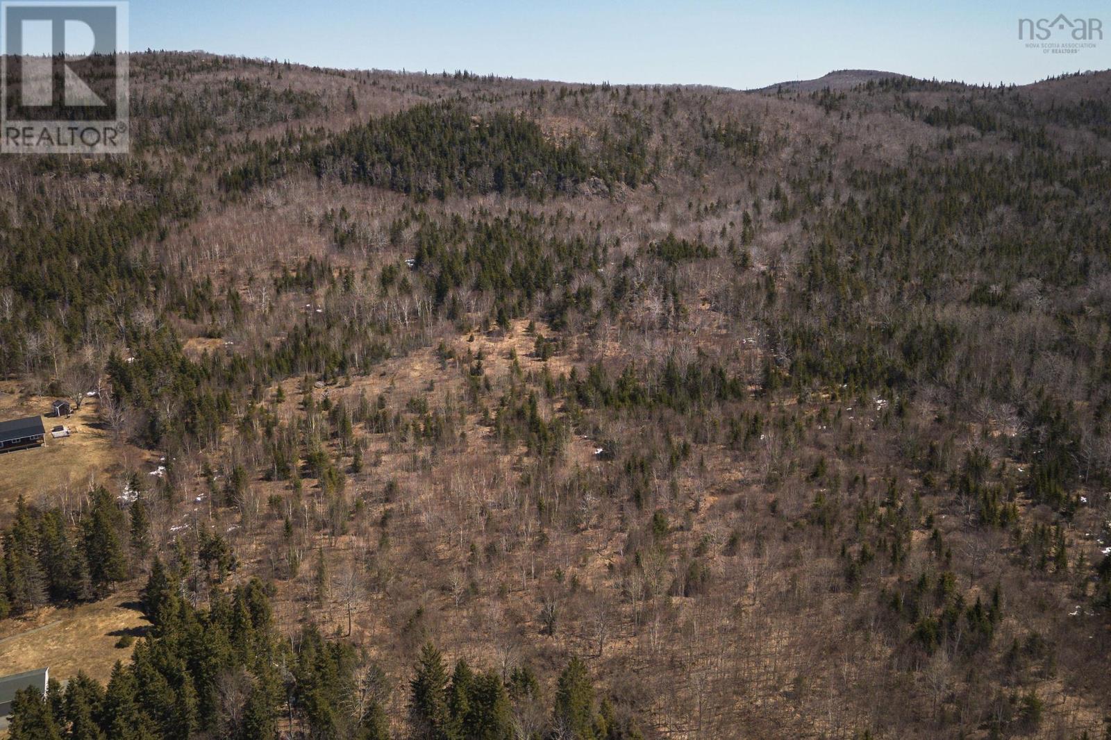 100 Acres Route 19, Troy, Nova Scotia  B9A 1H9 - Photo 4 - 202607861