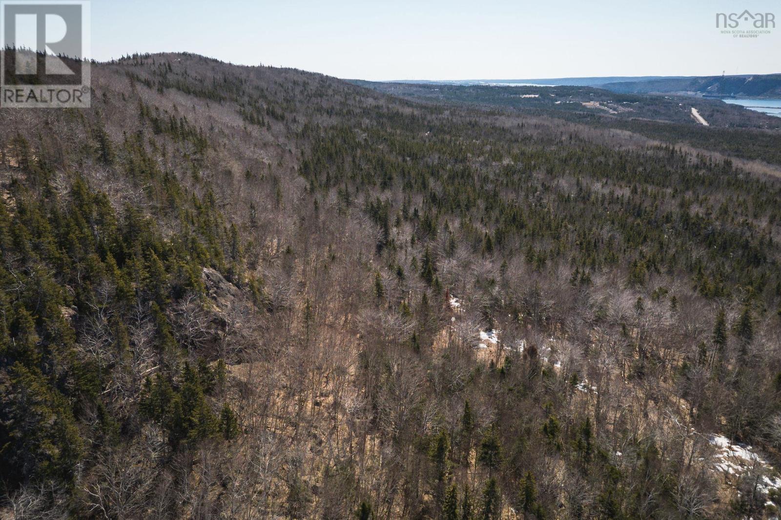 100 Acres Route 19, Troy, Nova Scotia  B9A 1H9 - Photo 5 - 202607861