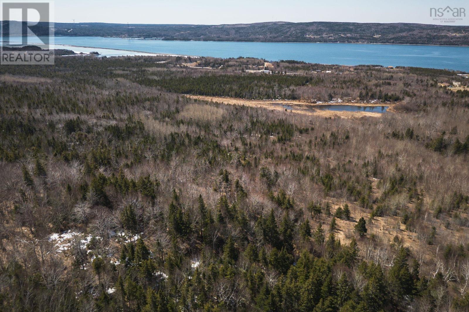 100 Acres Route 19, Troy, Nova Scotia  B9A 1H9 - Photo 2 - 202607861