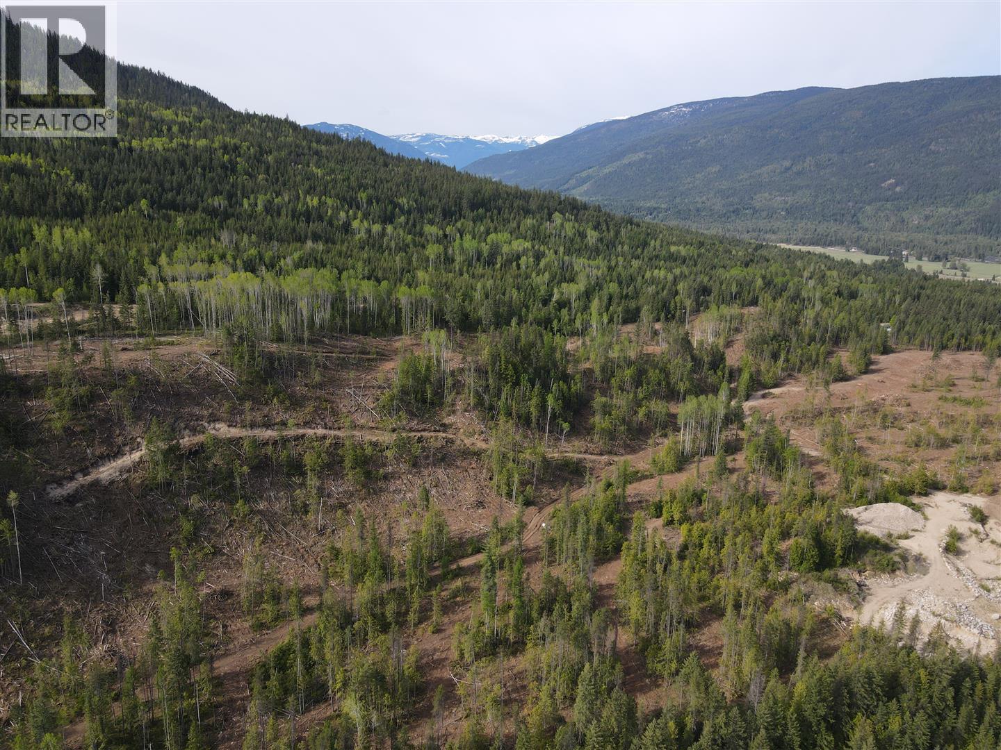 7928 Lemon Creek Road, Slocan, British Columbia  V0G 2C0 - Photo 5 - 10346148