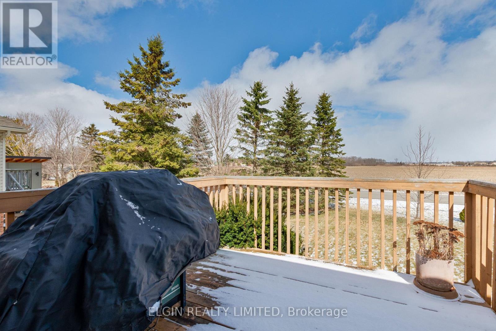 41792 North Street N, Southwold, Ontario  N5P 4L7 - Photo 32 - X12898368