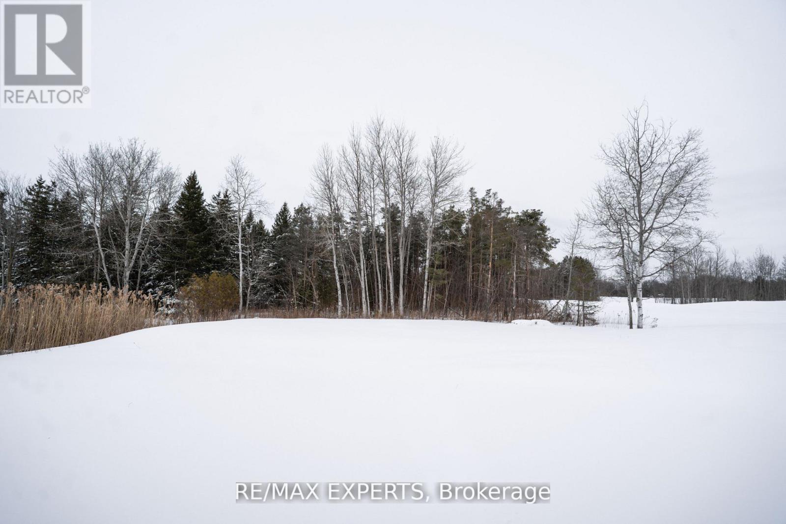 130 Dale Crescent, Bradford West Gwillimbury, Ontario  L0L 1L0 - Photo 49 - N13014780