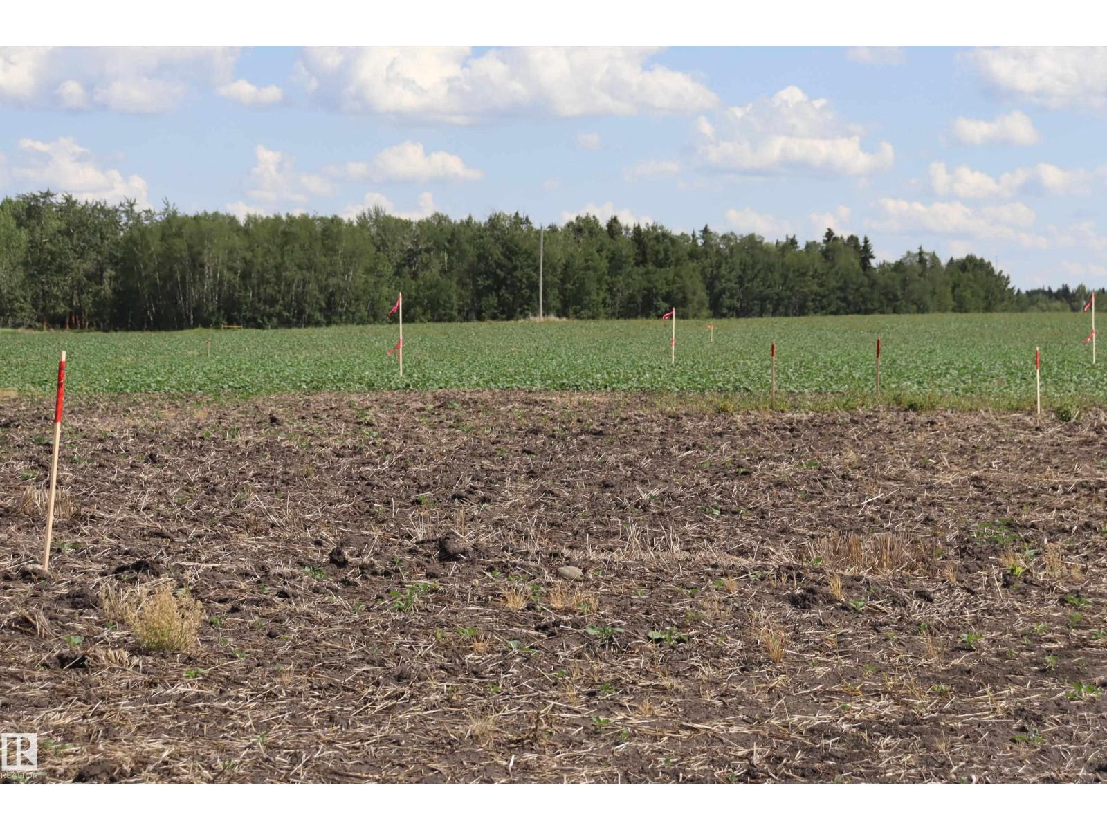 49310 Rgr Rd 214, Rural Camrose County, Alberta  T0B 2M2 - Photo 2 - E4482961