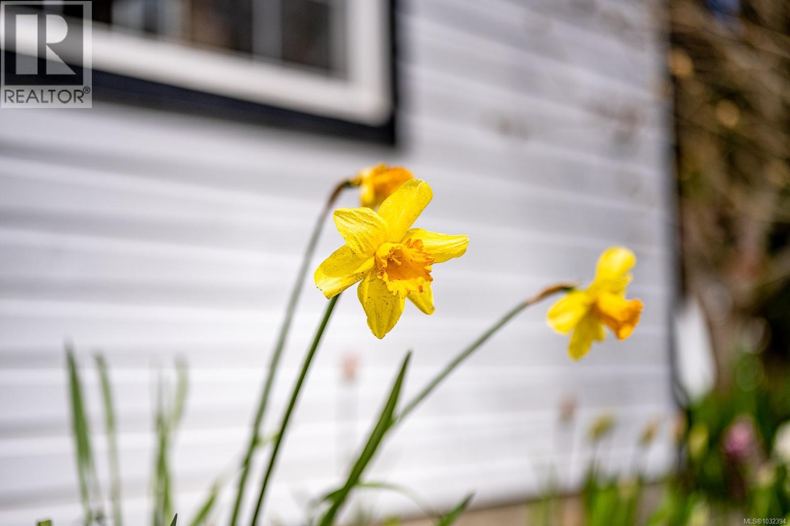 2300 Waveland Rd, Comox, British Columbia  V9J 1X4 - Photo 50 - 1032394