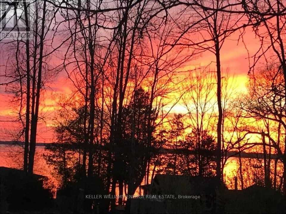 18 Prosser Avenue, Scugog, Ontario  L0B 1L0 - Photo 36 - E13014962