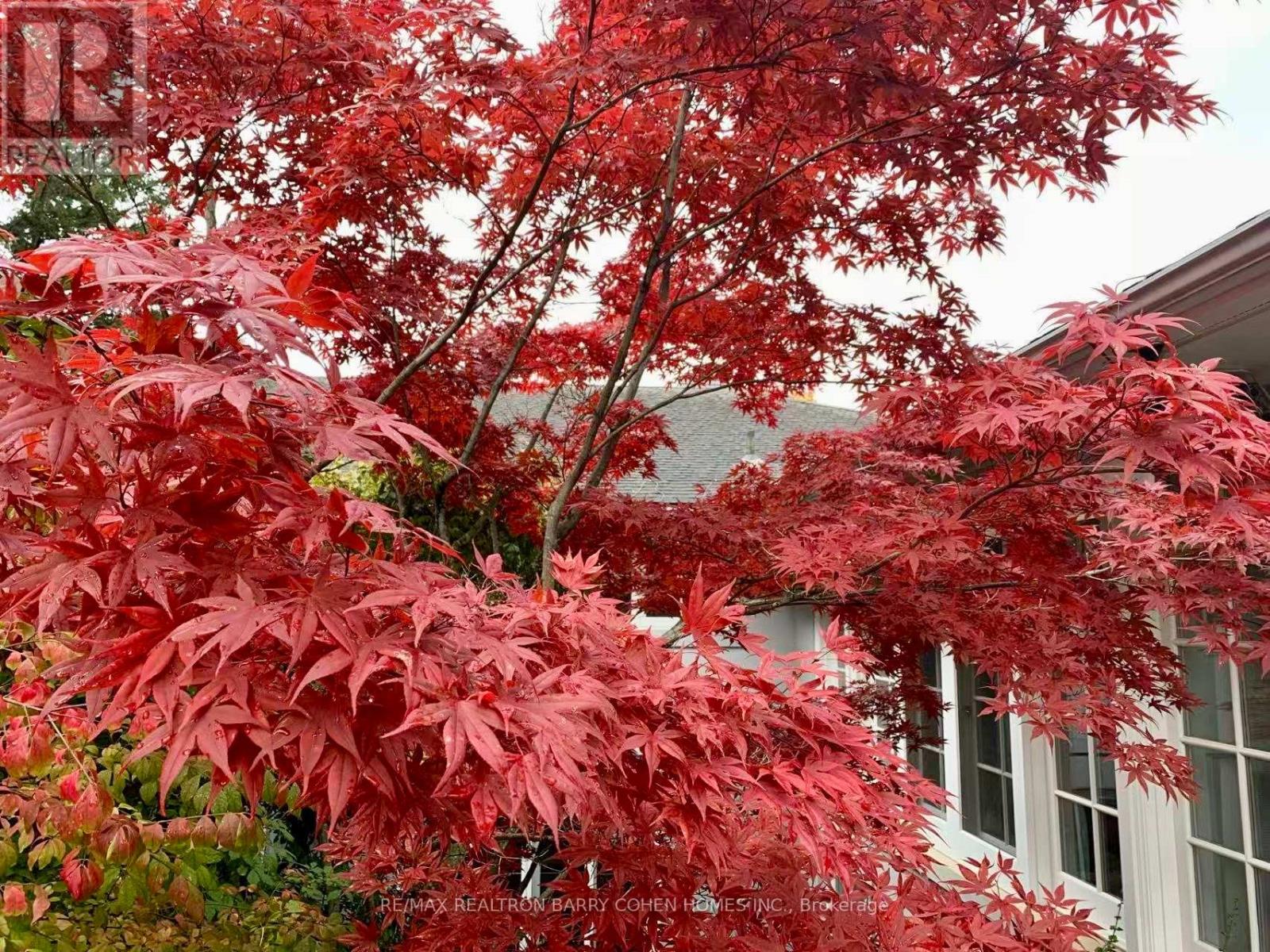 80 Bayview Ridge, Toronto, Ontario  M2L 1E6 - Photo 2 - C13014948