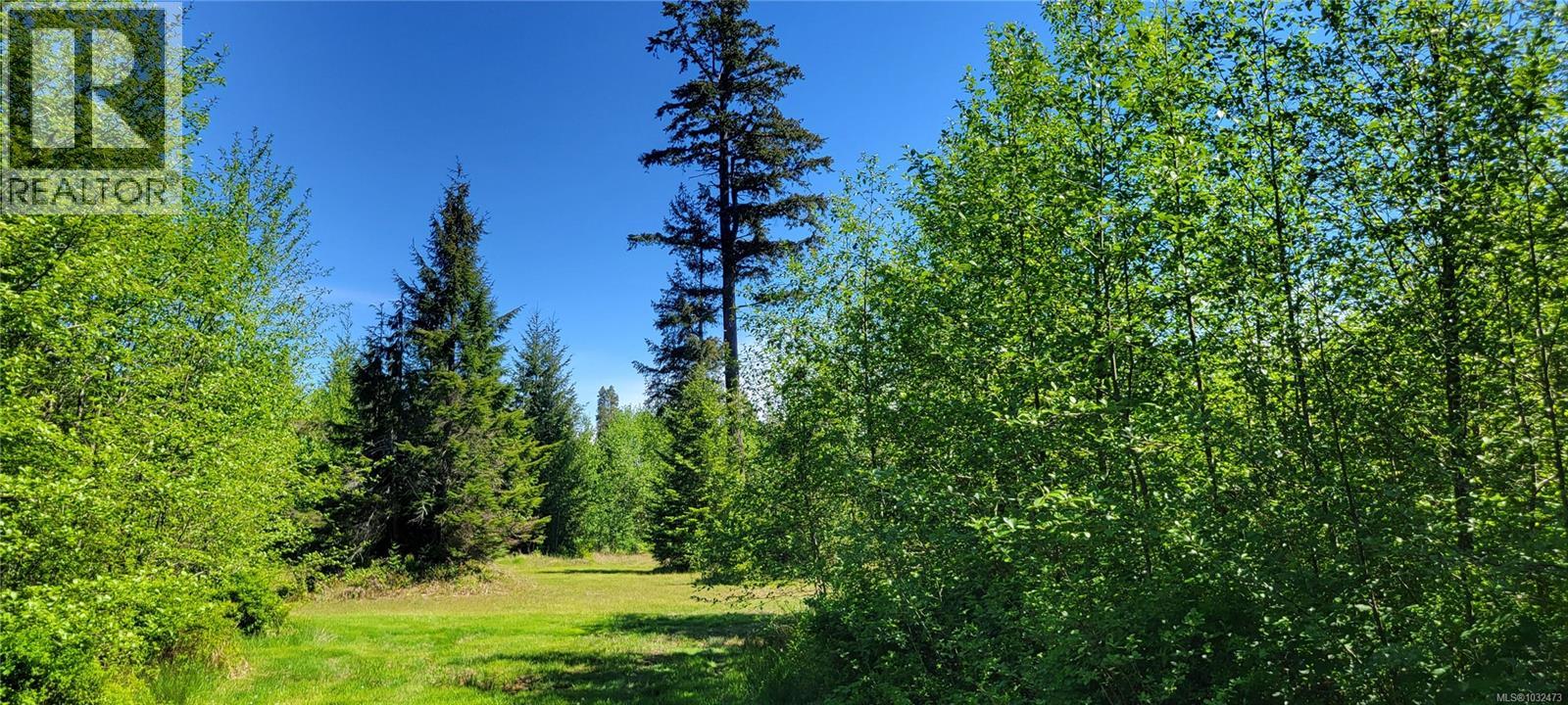 Sl 3 4275 Island Hwy S, Campbell River, British Columbia  V9H 1B7 - Photo 5 - 1032473