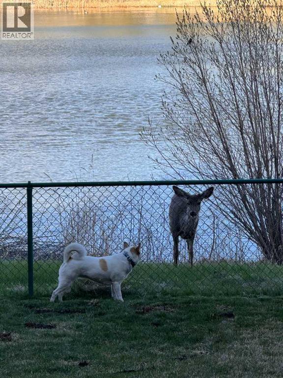 44 Everridge Common Sw, Calgary, Alberta  T2Y 5G9 - Photo 48 - A2260986