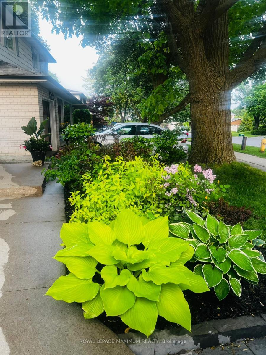 Bsmt - 41 Knotty Pine Trail, Markham, Ontario  L3T 3W5 - Photo 11 - N12719210