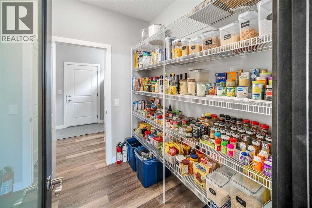 209 Sandpiper Crescent, Chestermere, Alberta  T1X 0Y4 - Photo 19 - A2294957