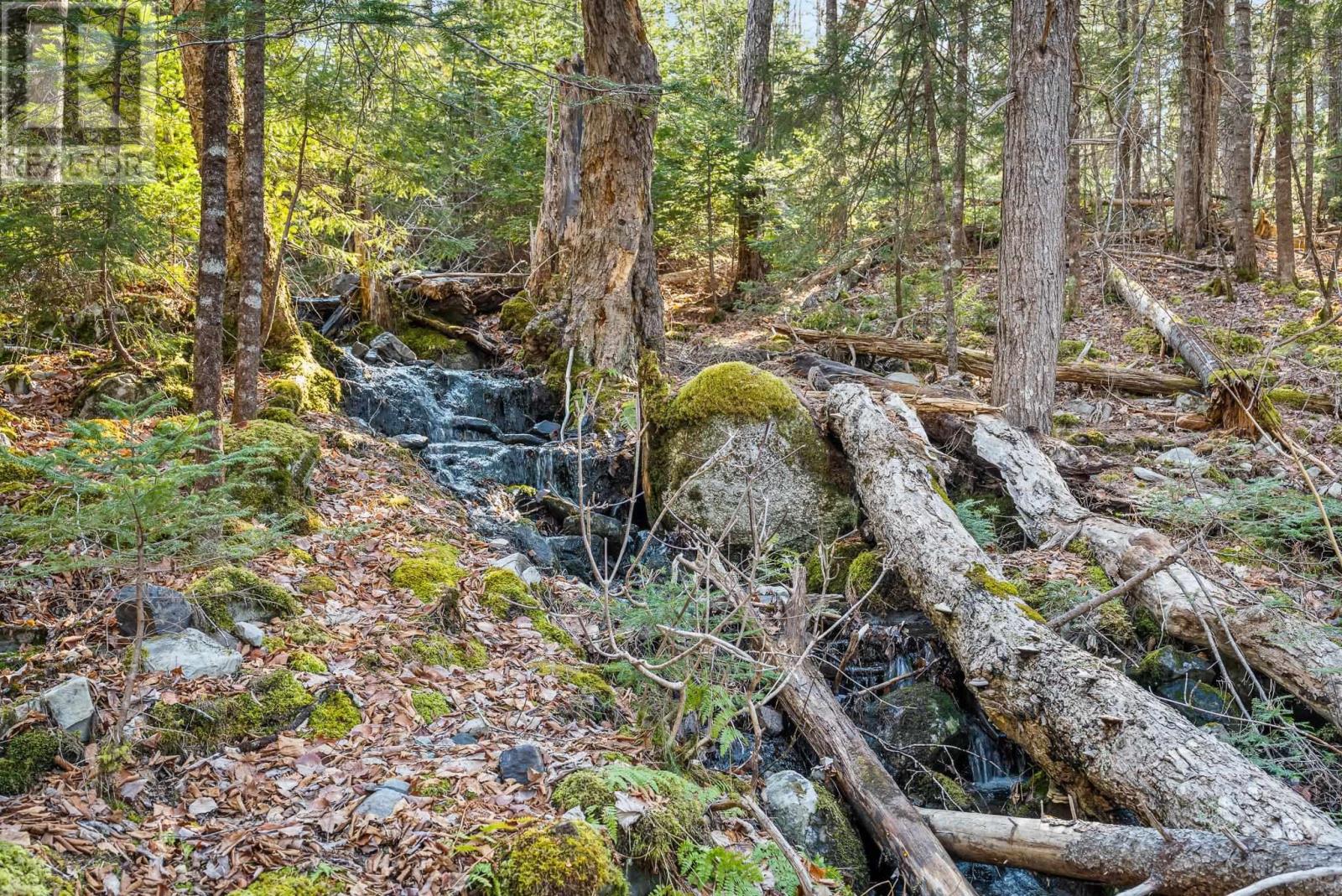 Lot 7 Stamping Mill Lane, Beech Hill, Nova Scotia  B0J 1K0 - Photo 17 - 202605453