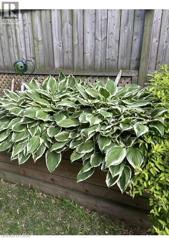 735 Beach Boulevard, Hamilton, Ontario  L8H 6Y5 - Photo 7 - 40811644