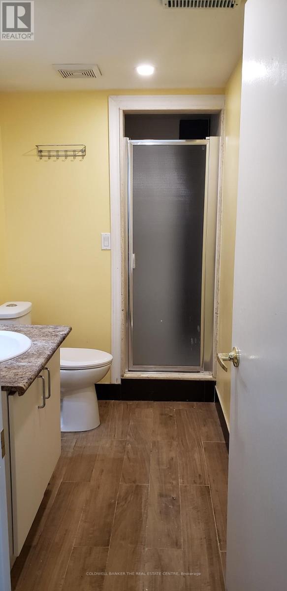 Basement - 53 Meadowview Avenue, Markham, Ontario  L3T 1K6 - Photo 11 - N13015100