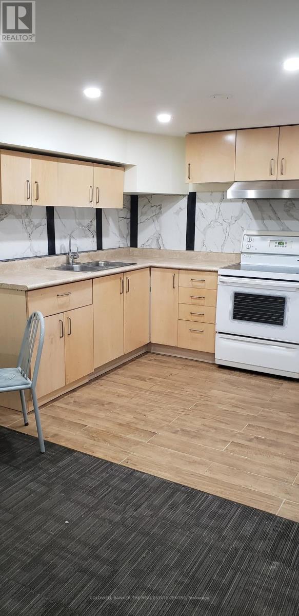 Basement - 53 Meadowview Avenue, Markham, Ontario  L3T 1K6 - Photo 5 - N13015100