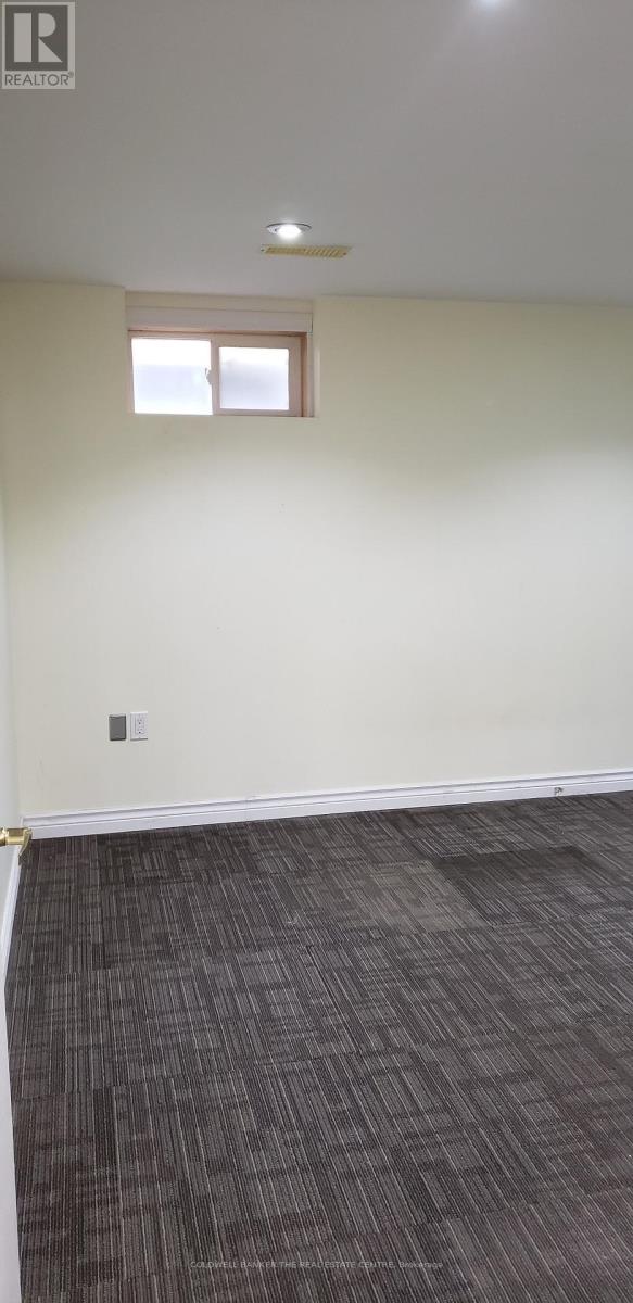 Basement - 53 Meadowview Avenue, Markham, Ontario  L3T 1K6 - Photo 9 - N13015100