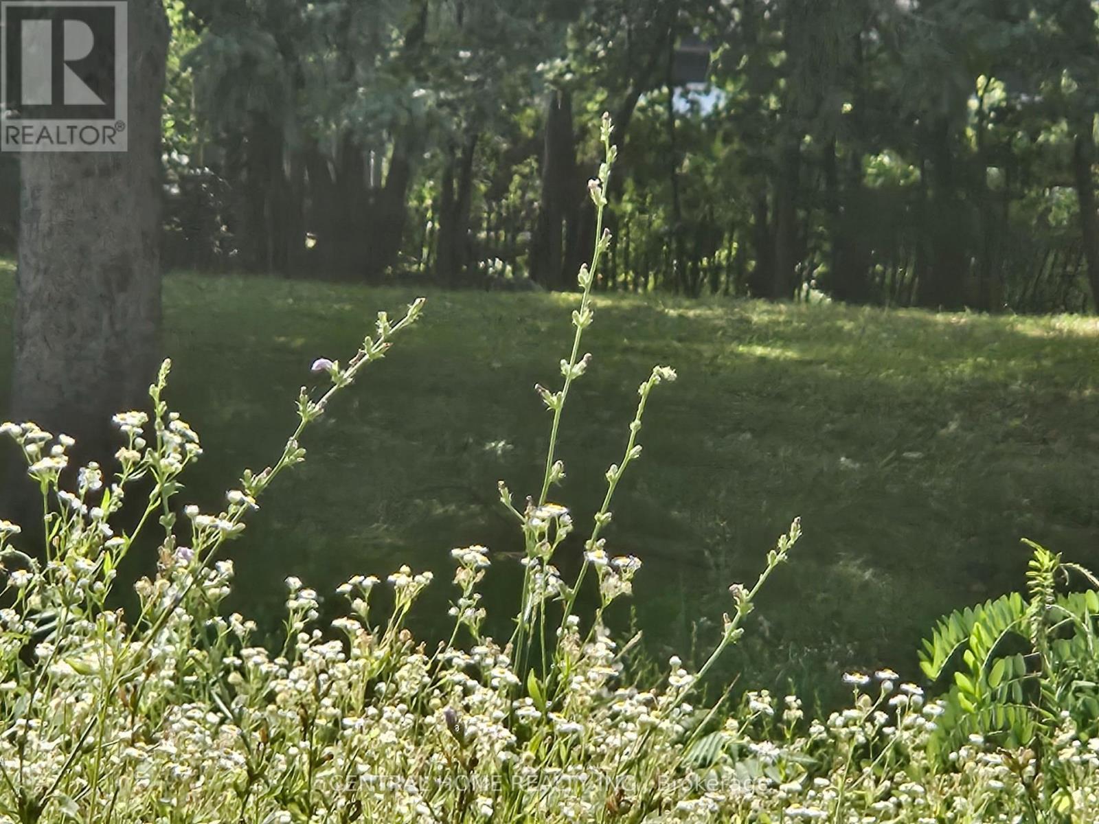 174 Sixth Street, Midland, Ontario  L4R 3X6 - Photo 3 - S13015108