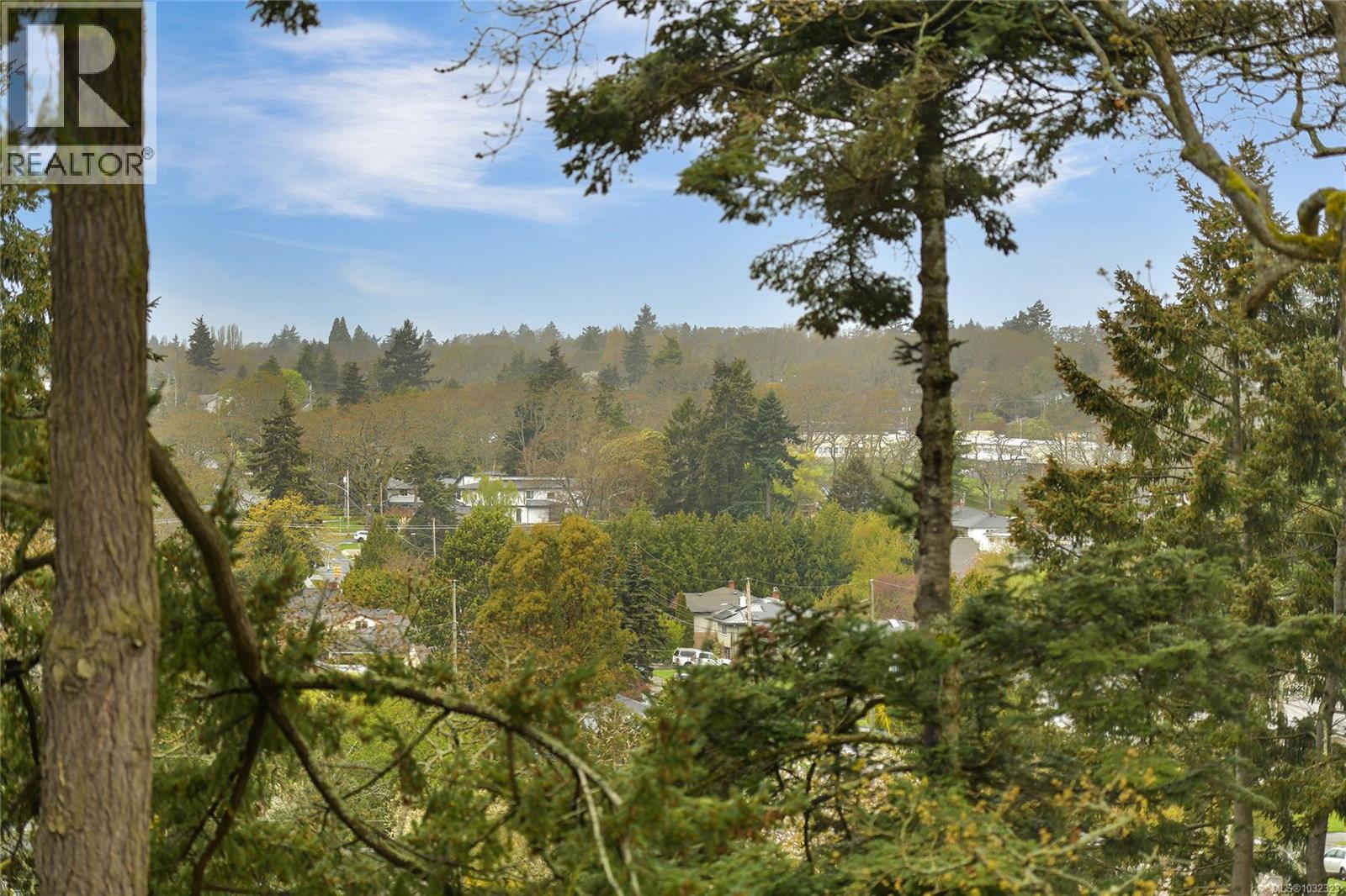 3528 Richmond Rd, Saanich, British Columbia  V8P 4P8 - Photo 7 - 1032323