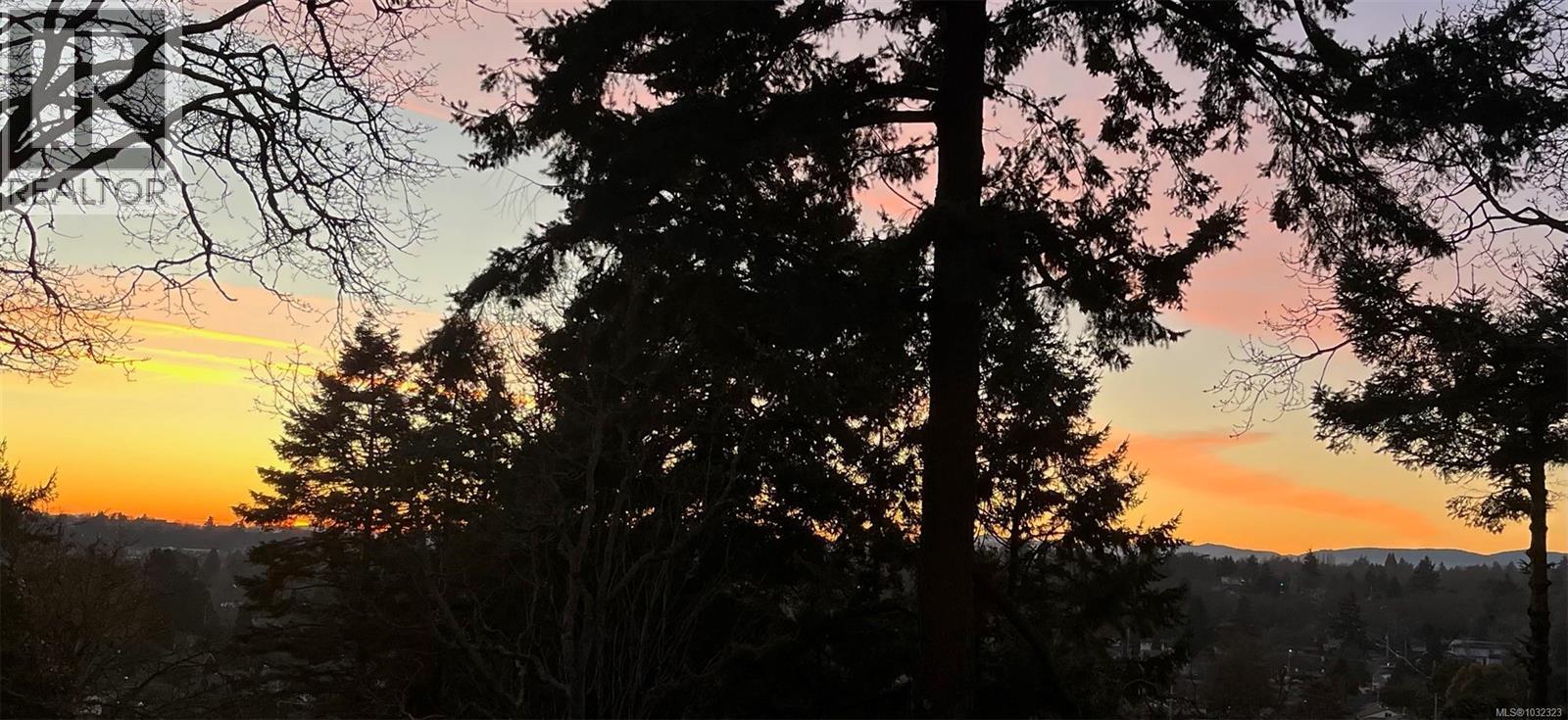 3528 Richmond Rd, Saanich, British Columbia  V8P 4P8 - Photo 66 - 1032323