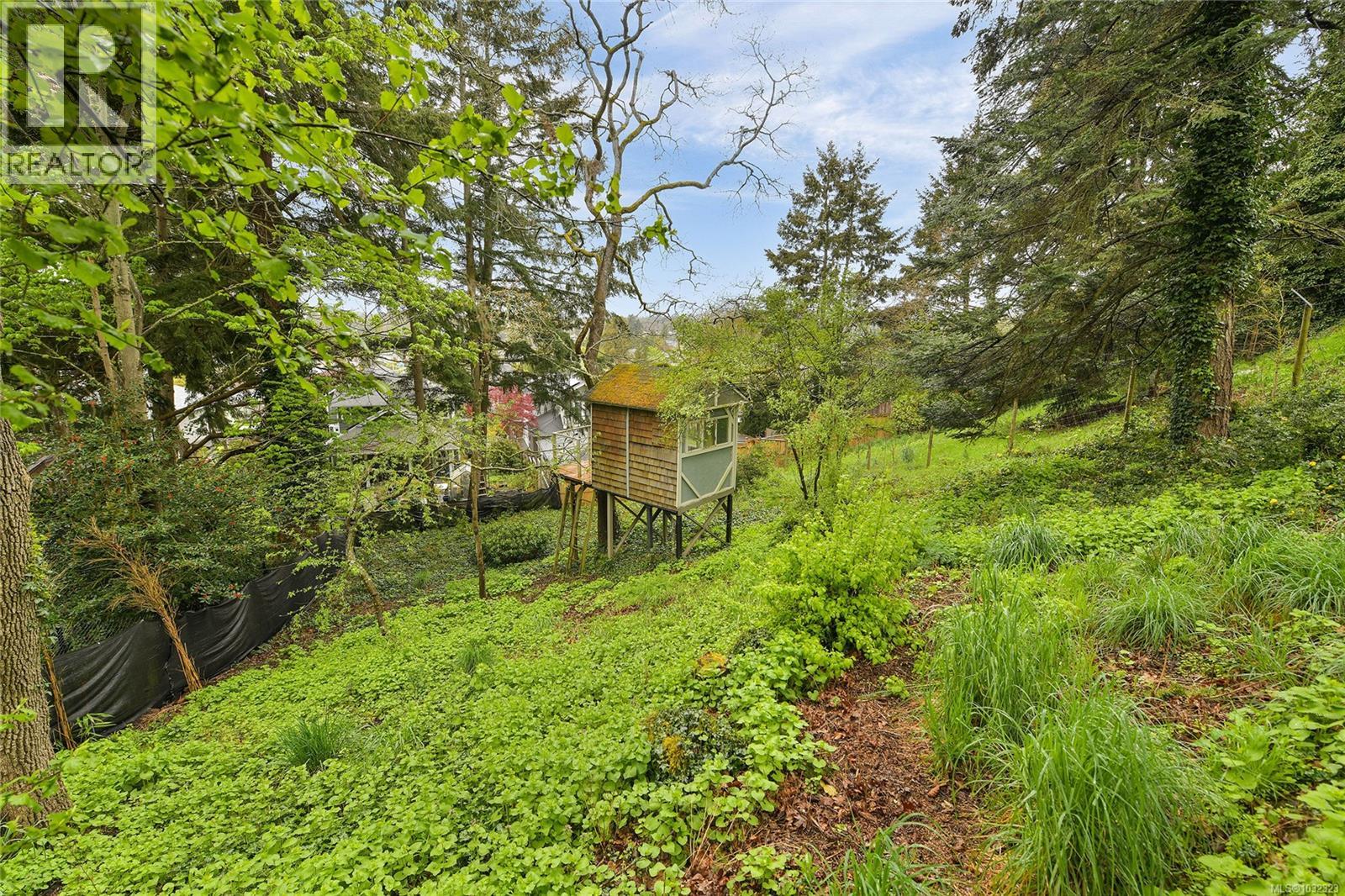 3528 Richmond Rd, Saanich, British Columbia  V8P 4P8 - Photo 62 - 1032323