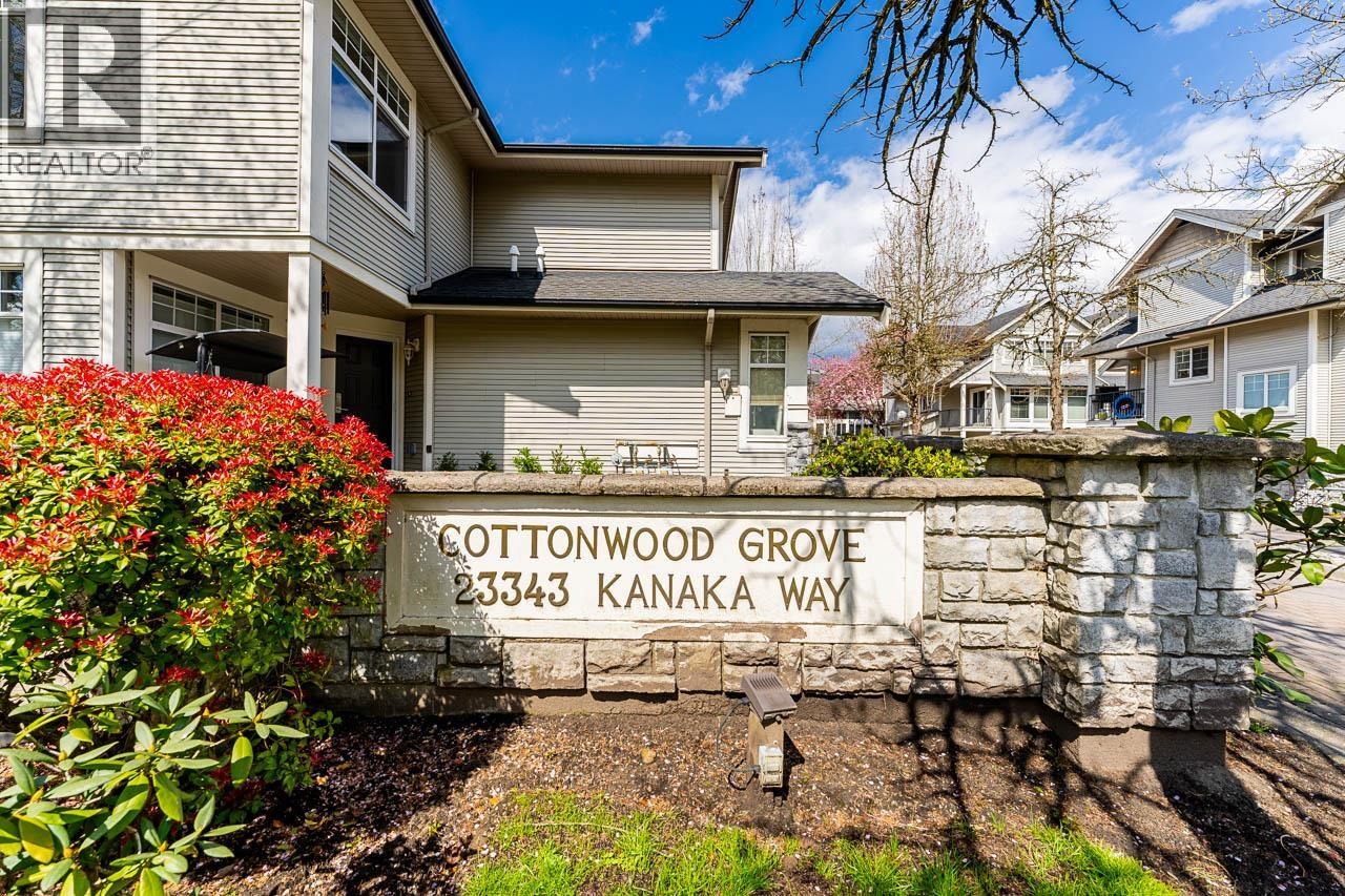 23 23343 Kanaka Way, Maple Ridge, British Columbia  V2W 2B6 - Photo 1 - R3112974