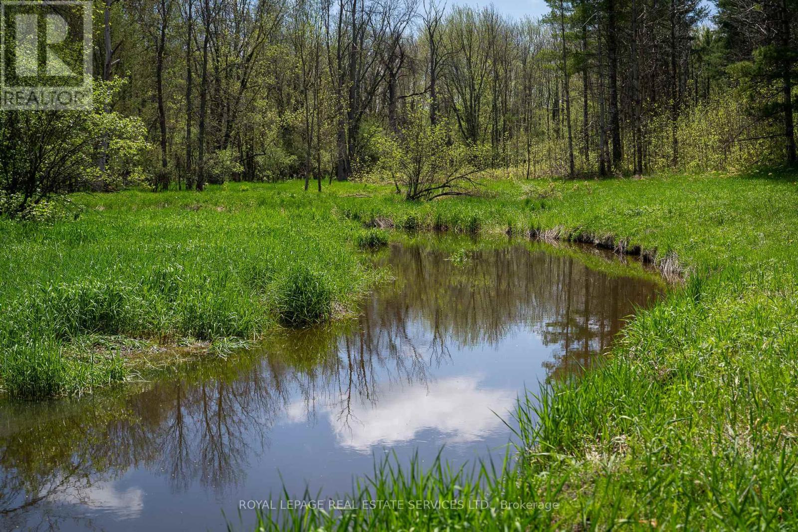 Pt Lot 13 Concession 7 Concession, Georgian Bluffs, Ontario  N4K 5N5 - Photo 14 - X13015144