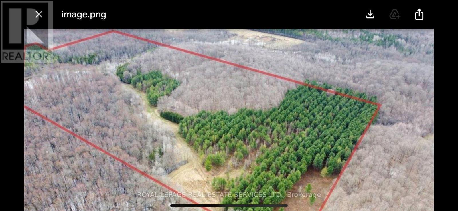 Pt Lot 13 Concession 7 Concession, Georgian Bluffs, Ontario  N4K 5N5 - Photo 2 - X13015144