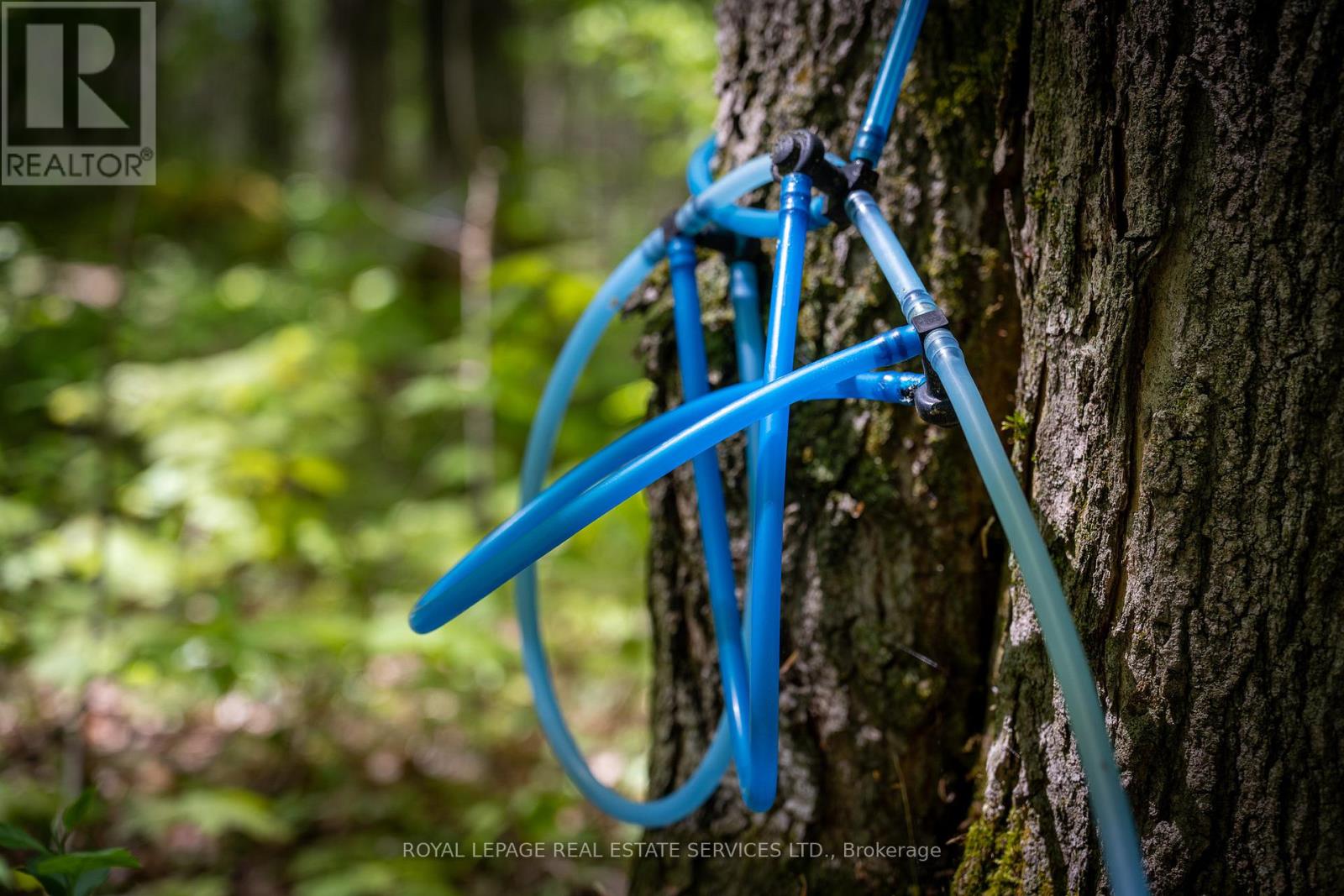 Pt Lot 13 Concession 7 Concession, Georgian Bluffs, Ontario  N4K 5N5 - Photo 25 - X13015144