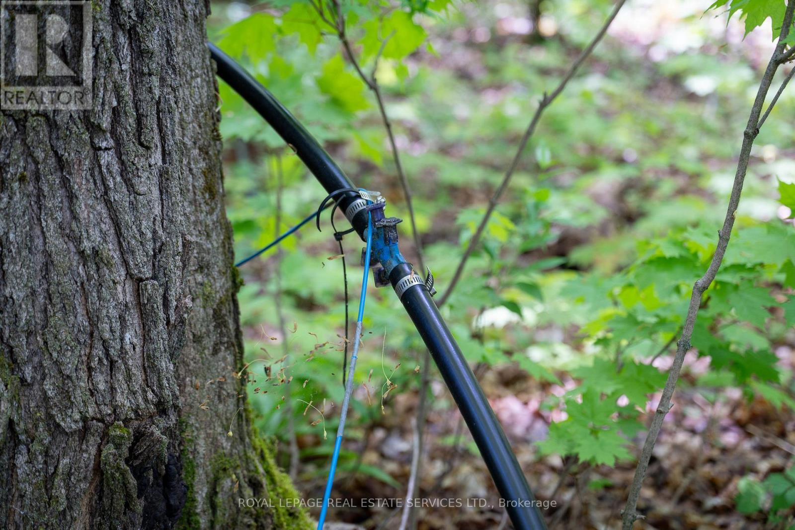 Pt Lot 13 Concession 7 Concession, Georgian Bluffs, Ontario  N4K 5N5 - Photo 26 - X13015144