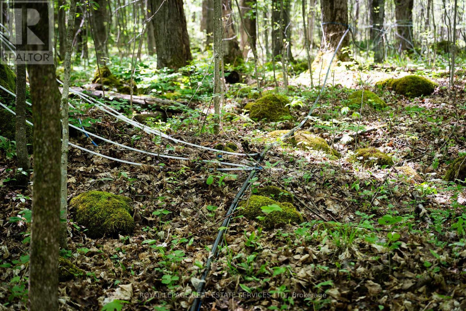 Pt Lot 13 Concession 7 Concession, Georgian Bluffs, Ontario  N4K 5N5 - Photo 27 - X13015144