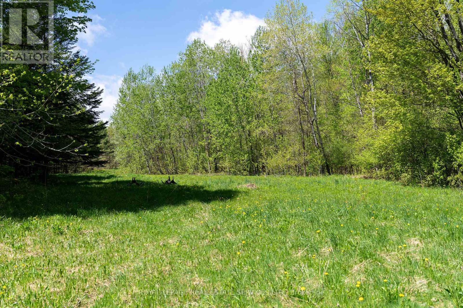 Pt Lot 13 Concession 7 Concession, Georgian Bluffs, Ontario  N4K 5N5 - Photo 33 - X13015144