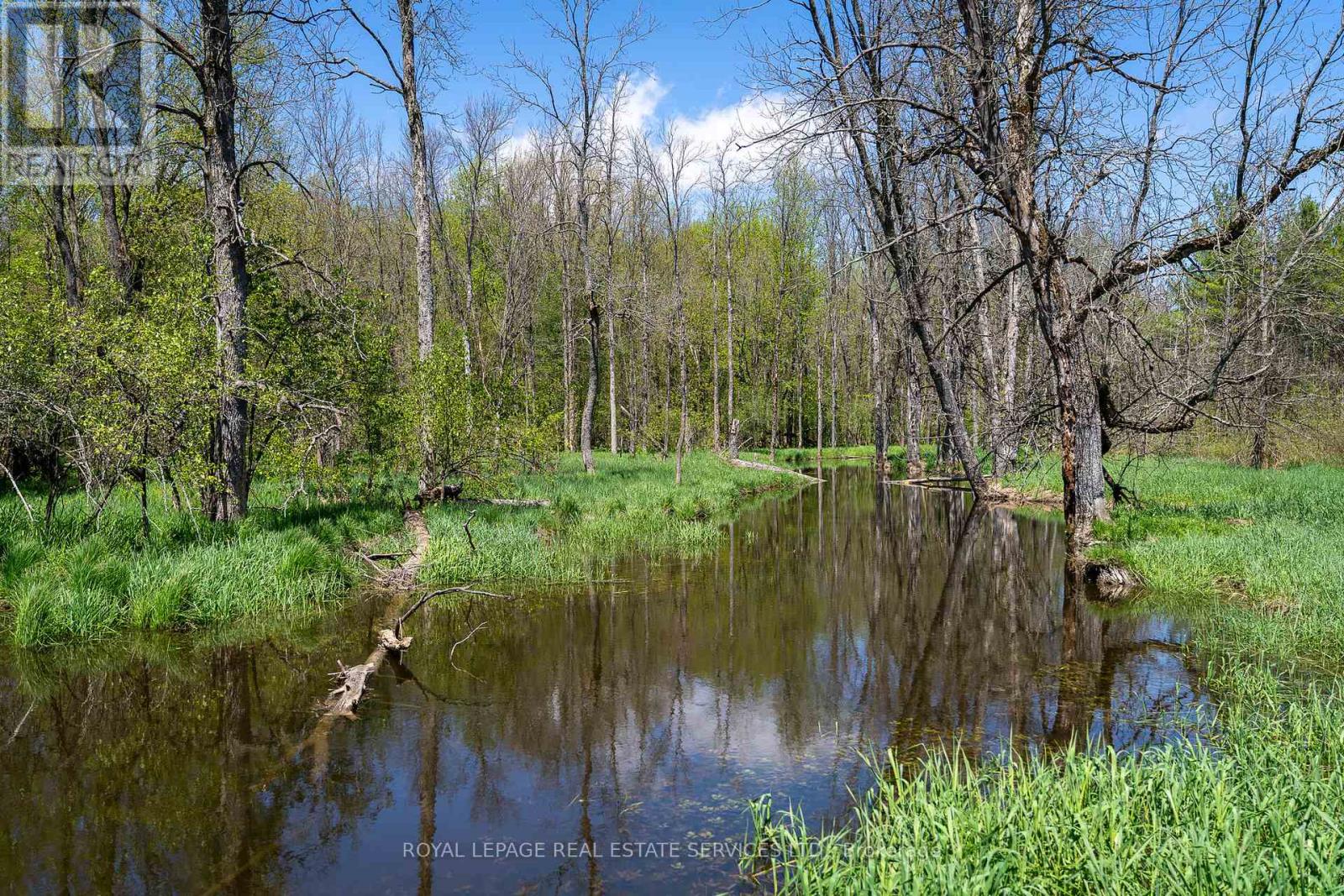 Pt Lot 13 Concession 7 Concession, Georgian Bluffs, Ontario  N4K 5N5 - Photo 35 - X13015144