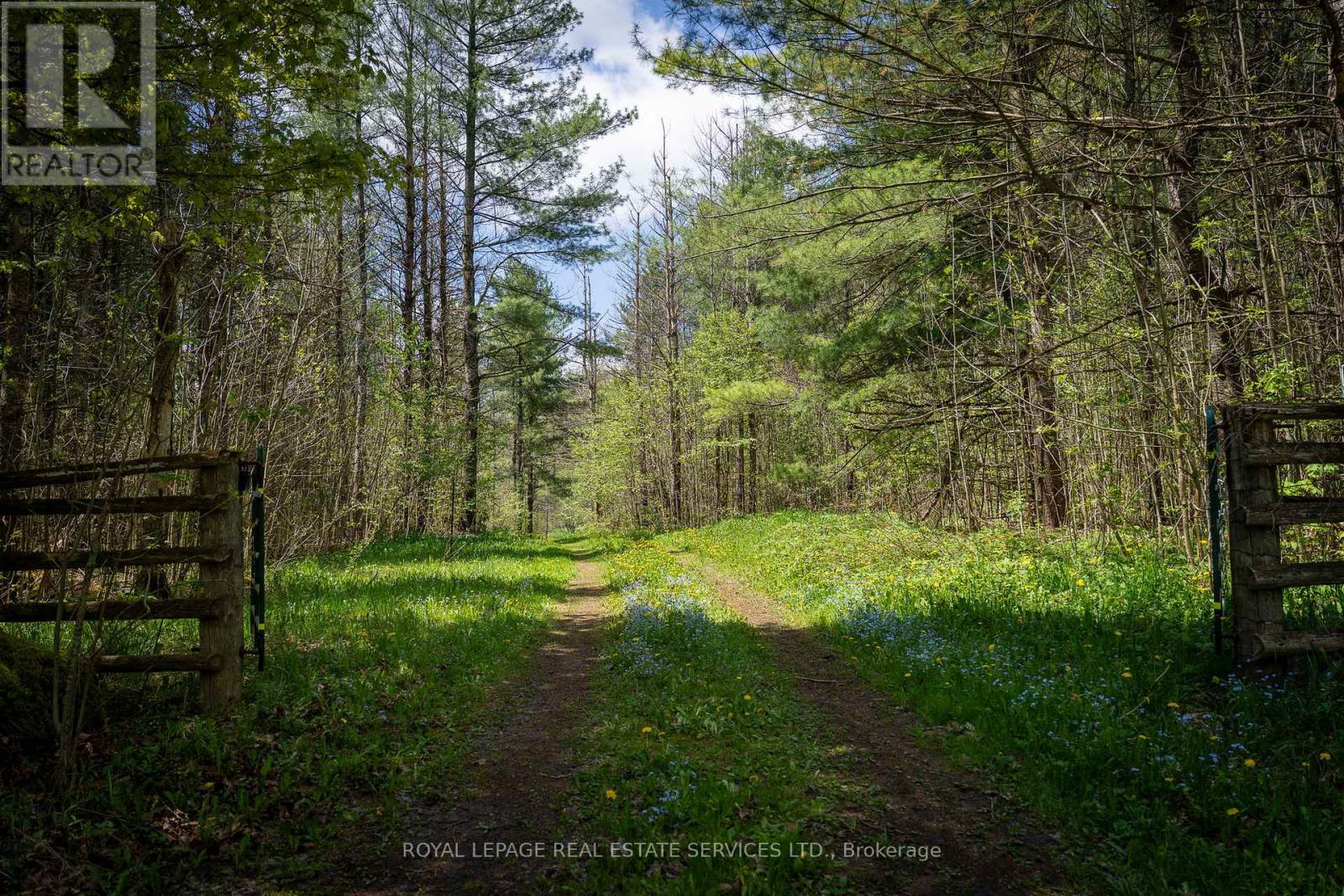 Pt Lot 13 Concession 7 Concession, Georgian Bluffs, Ontario  N4K 5N5 - Photo 6 - X13015144