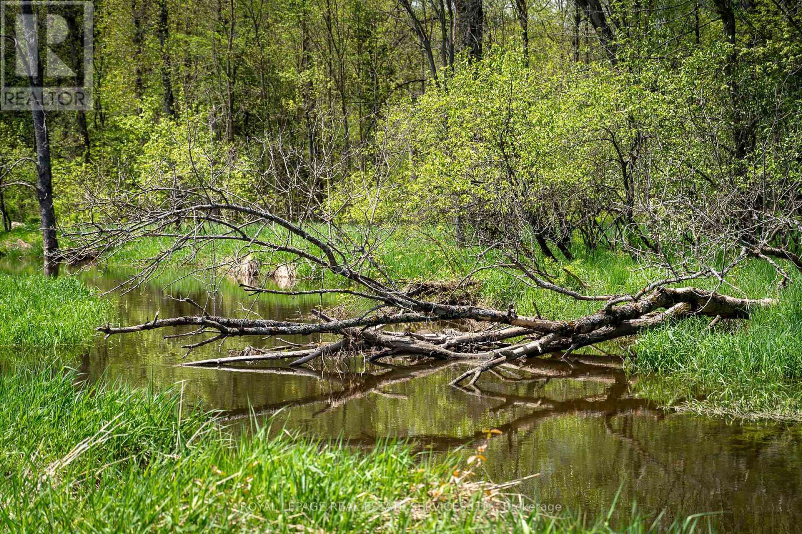 Pt Lot 13 Concession 7 Concession, Georgian Bluffs, Ontario  N4K 5N5 - Photo 7 - X13015144