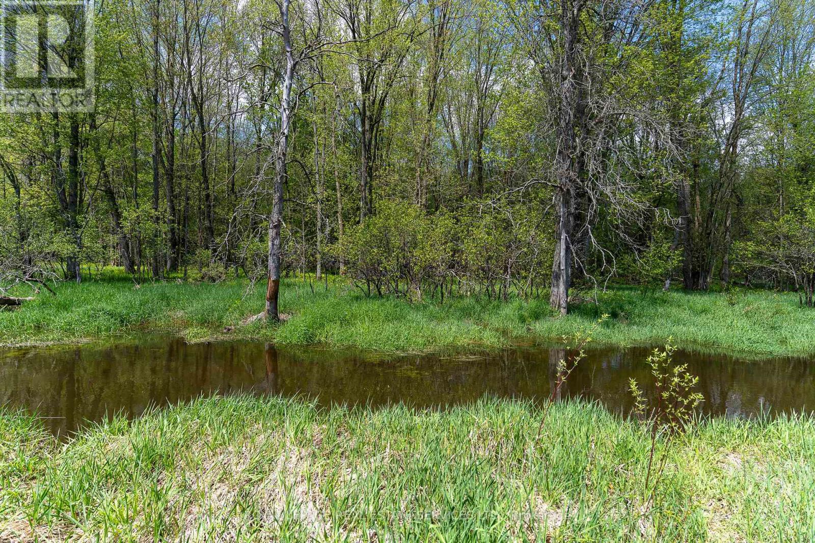 Pt Lot 13 Concession 7 Concession, Georgian Bluffs, Ontario  N4K 5N5 - Photo 9 - X13015144