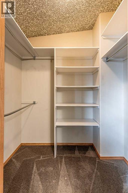 124 East 7 Avenue, Dunmore, Alberta  T1B 0J3 - Photo 25 - A2290935