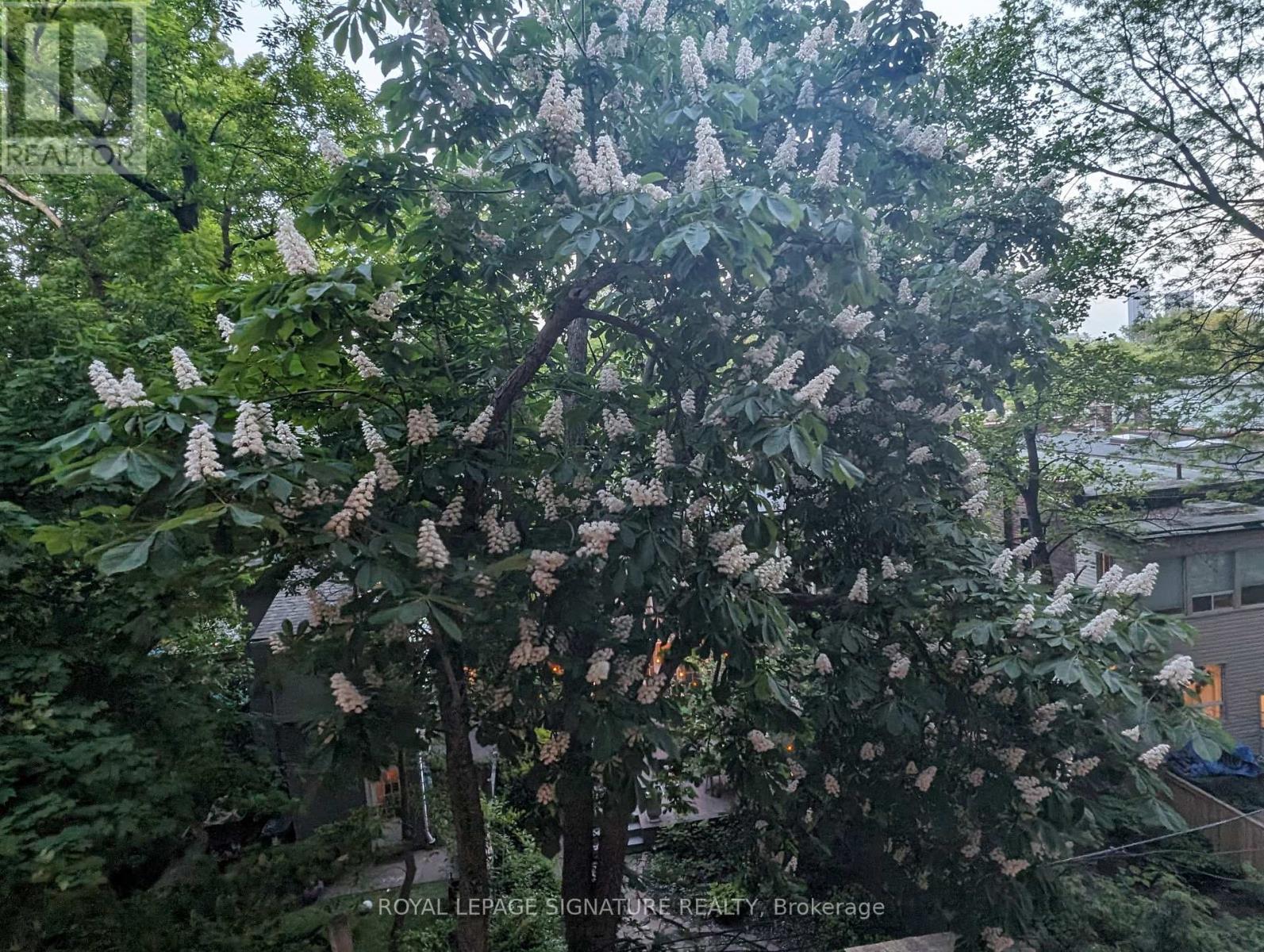 303 - 285 Avenue Road, Toronto, Ontario  M4V 2G8 - Photo 25 - C12981206