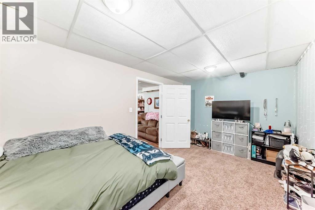 225019 Range Road 254, Rural Wheatland County, Alberta  T1P 0T1 - Photo 33 - A2299014