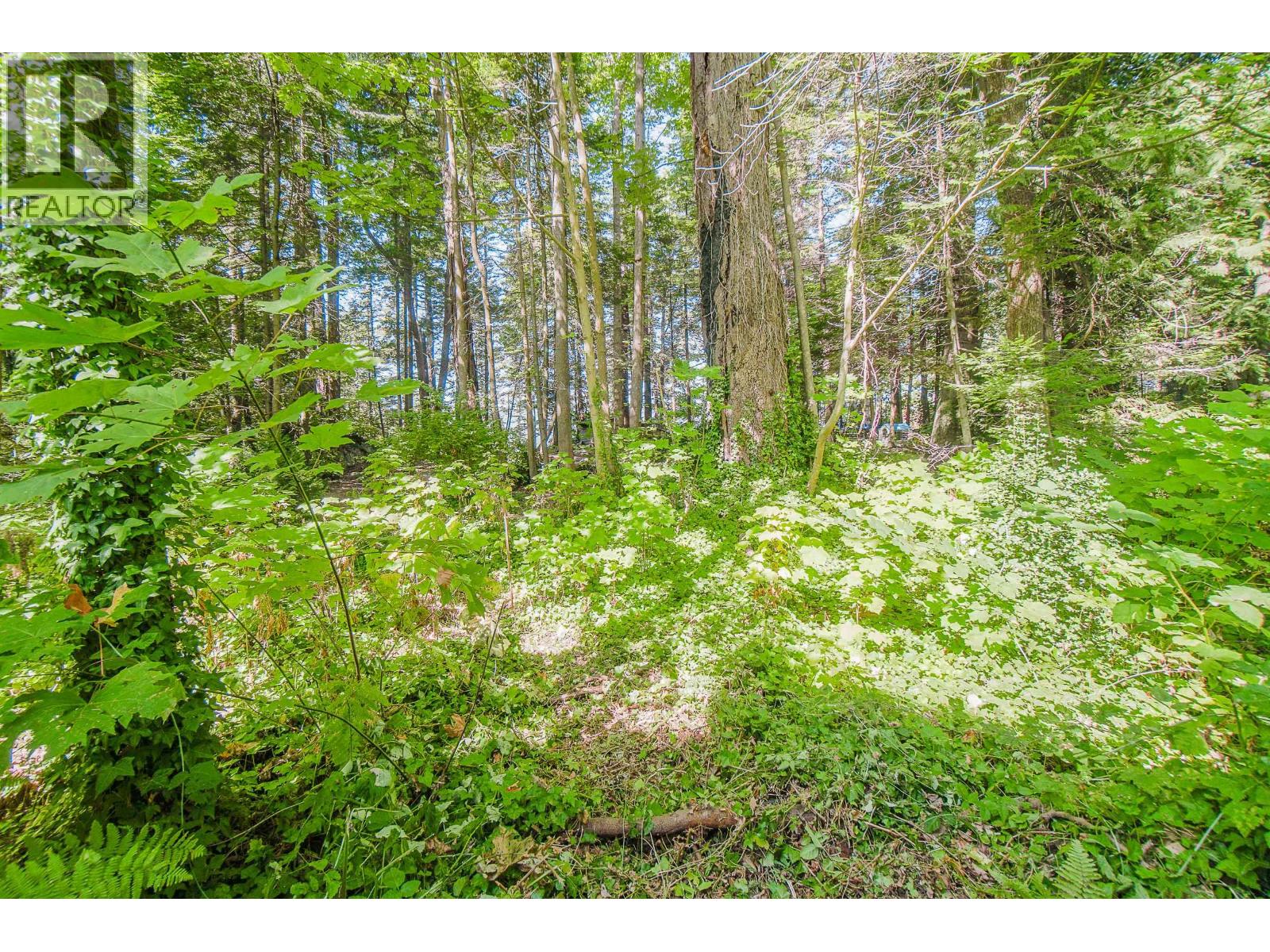 55 Passage Island, West Vancouver, British Columbia  V7W 1V7 - Photo 11 - R3113037