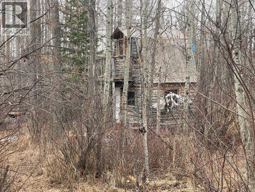 501 23 Street, Didsbury, Alberta  T0M 0W0 - Photo 48 - A2301701