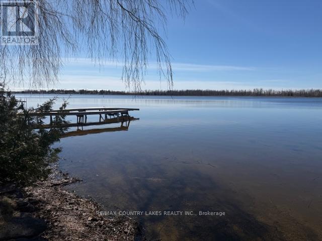 135 Driftwood Shores Road, Kawartha Lakes, Ontario  K0M 2B0 - Photo 25 - X12969144