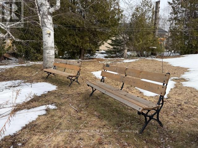 135 Driftwood Shores Road, Kawartha Lakes, Ontario  K0M 2B0 - Photo 28 - X12969144