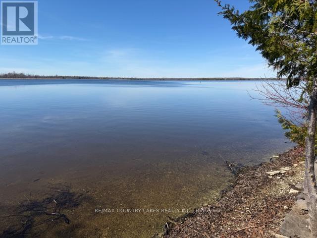 135 Driftwood Shores Road, Kawartha Lakes, Ontario  K0M 2B0 - Photo 26 - X12969144