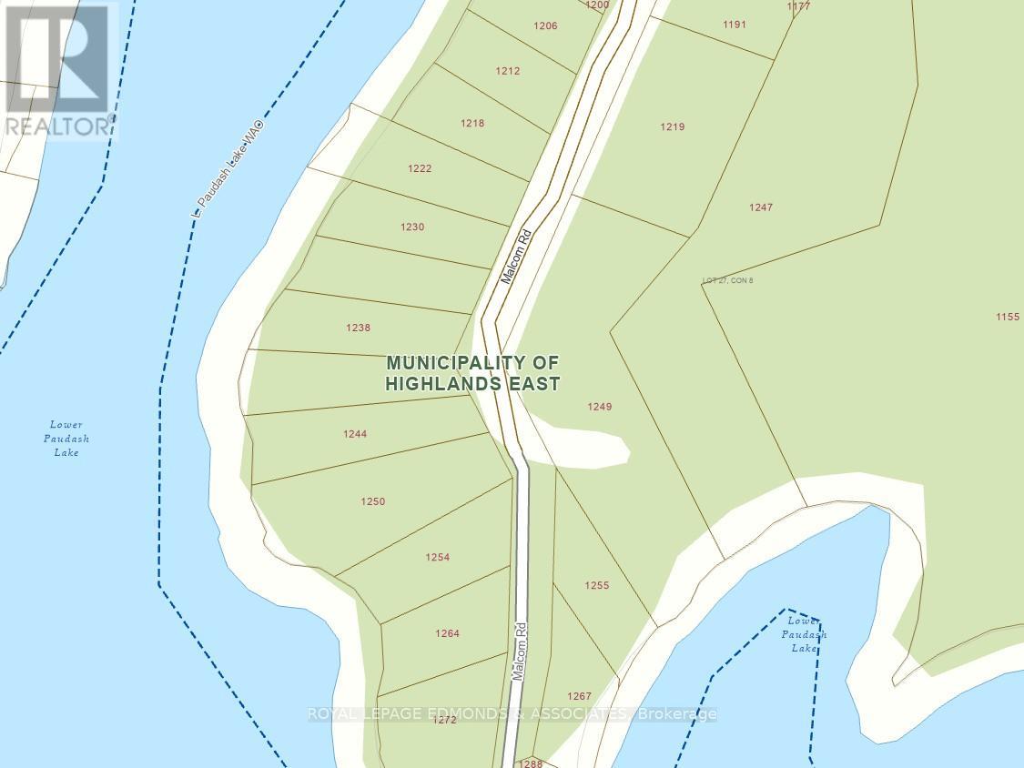 1238 Malcolm Road, Highlands East, Ontario  K0L 1C0 - Photo 4 - X13015274