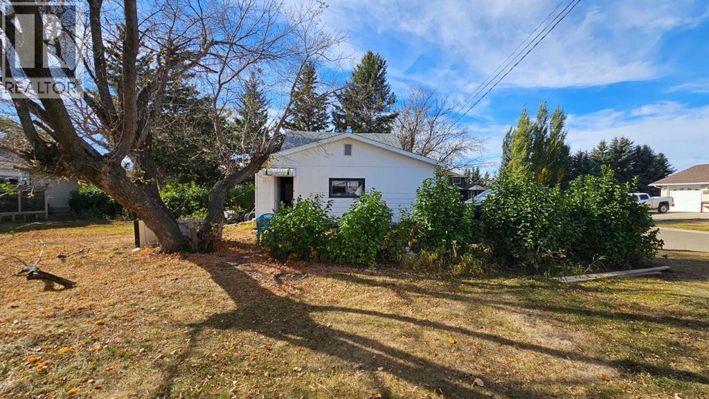 4529 44 Street, Castor, Alberta  T0C 0X0 - Photo 5 - A2263164